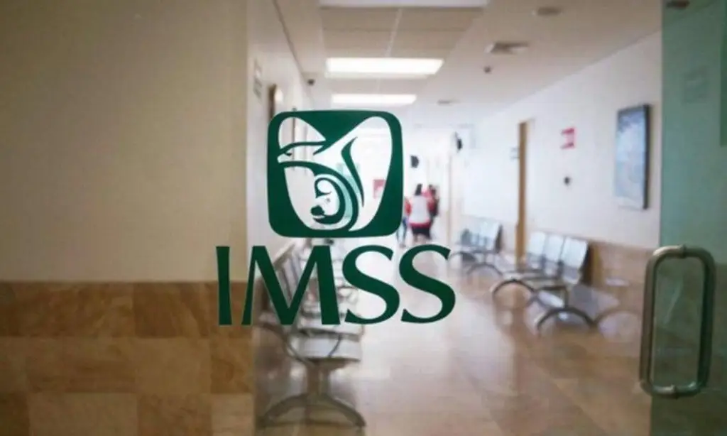 imss fraudes