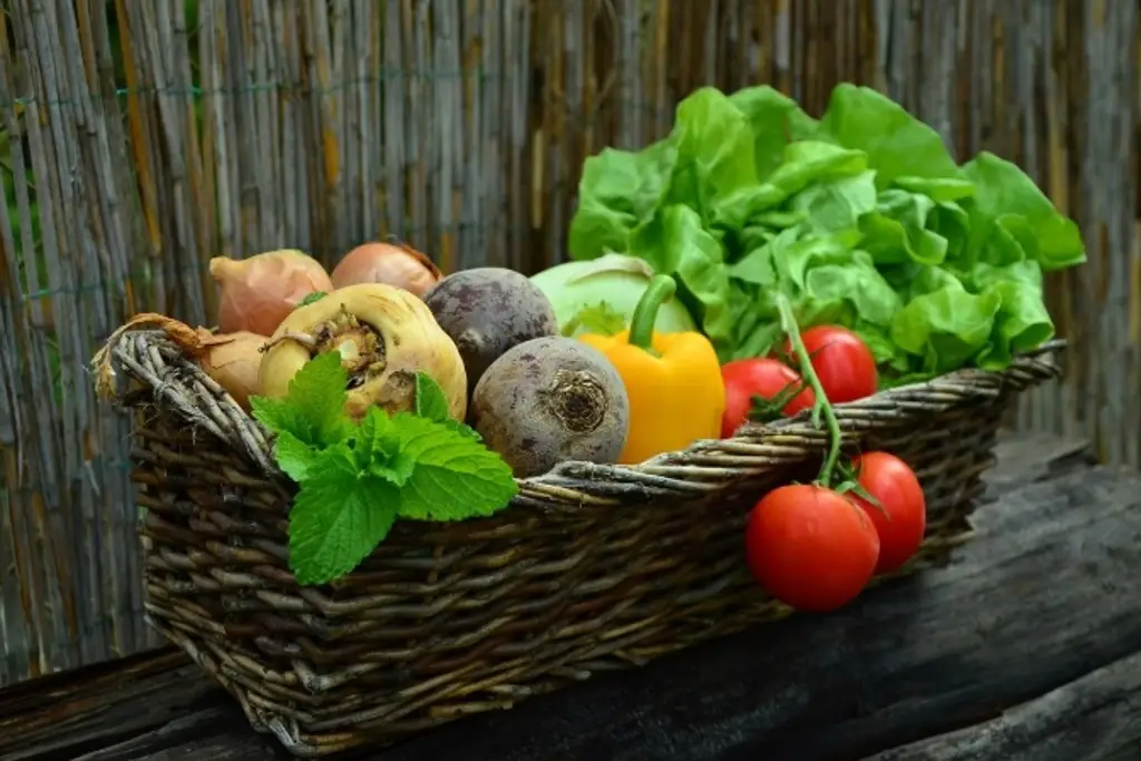 vegetales