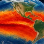 el niño empleo